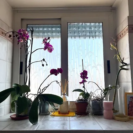公寓 Casa Di Ross