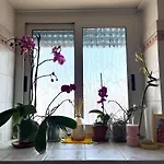 Apartment Casa Di Ross